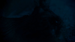 extant_GameOfThrones_4x02-TheLionAndTheRose_2590
