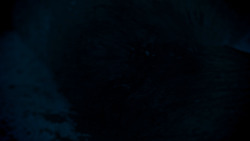 extant_GameOfThrones_4x02-TheLionAndTheRose_2593