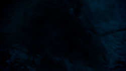 extant_GameOfThrones_4x02-TheLionAndTheRose_2595