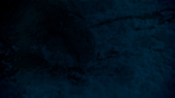 extant_GameOfThrones_4x02-TheLionAndTheRose_2598