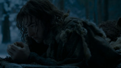 extant_GameOfThrones_4x02-TheLionAndTheRose_2721