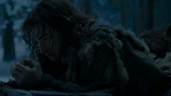 extant_GameOfThrones_4x02-TheLionAndTheRose_2723