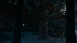 extant_GameOfThrones_4x02-TheLionAndTheRose_2753