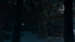 extant_GameOfThrones_4x02-TheLionAndTheRose_2755