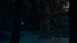 extant_GameOfThrones_4x02-TheLionAndTheRose_2766