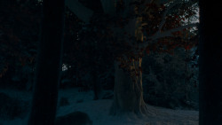 extant_GameOfThrones_4x02-TheLionAndTheRose_2769
