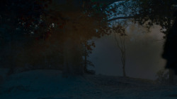 extant_GameOfThrones_4x02-TheLionAndTheRose_2788