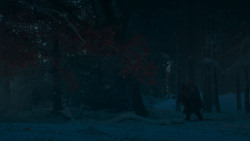 extant_GameOfThrones_4x02-TheLionAndTheRose_2797