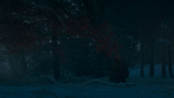 extant_GameOfThrones_4x02-TheLionAndTheRose_2800