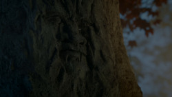 extant_GameOfThrones_4x02-TheLionAndTheRose_2829