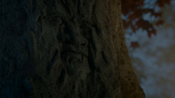 extant_GameOfThrones_4x02-TheLionAndTheRose_2830