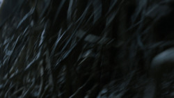 extant_GameOfThrones_4x02-TheLionAndTheRose_2848