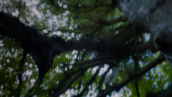 extant_GameOfThrones_4x02-TheLionAndTheRose_2873