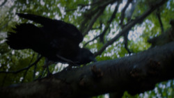 extant_GameOfThrones_4x02-TheLionAndTheRose_2874