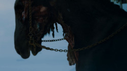 extant_GameOfThrones_4x02-TheLionAndTheRose_2888