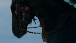 extant_GameOfThrones_4x02-TheLionAndTheRose_2889