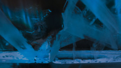 extant_GameOfThrones_4x02-TheLionAndTheRose_2895