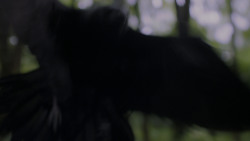 extant_GameOfThrones_4x02-TheLionAndTheRose_2897