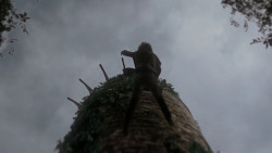 extant_GameOfThrones_4x02-TheLionAndTheRose_2905