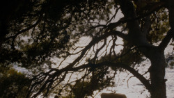 extant_GameOfThrones_4x02-TheLionAndTheRose_3124