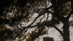extant_GameOfThrones_4x02-TheLionAndTheRose_3125