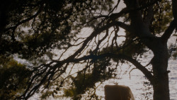 extant_GameOfThrones_4x02-TheLionAndTheRose_3126