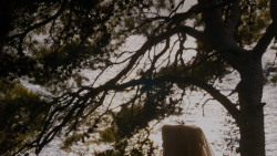 extant_GameOfThrones_4x02-TheLionAndTheRose_3127