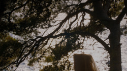 extant_GameOfThrones_4x02-TheLionAndTheRose_3128