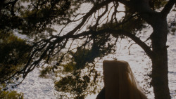 extant_GameOfThrones_4x02-TheLionAndTheRose_3131