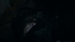 extant_GameOfThrones_4x03-BreakerOfChains_3268