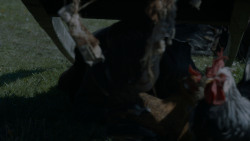 extant_GameOfThrones_4x03-BreakerOfChains_4679