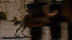 extant_GameOfThrones_4x03-BreakerOfChains_5538