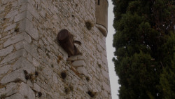 extant_GameOfThrones_4x03-BreakerOfChains_5853