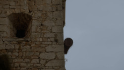 extant_GameOfThrones_4x03-BreakerOfChains_5868