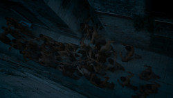 extant_GameOfThrones_4x04-Oathkeeper_0657
