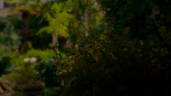 extant_GameOfThrones_4x04-Oathkeeper_1783