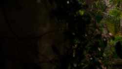extant_GameOfThrones_4x04-Oathkeeper_1801