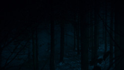 extant_GameOfThrones_4x04-Oathkeeper_4599