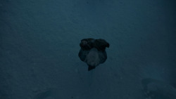 extant_GameOfThrones_4x04-Oathkeeper_5607
