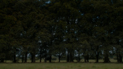 extant_GameOfThrones_4x05-FirstOfHisName_2746