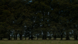 extant_GameOfThrones_4x05-FirstOfHisName_2747