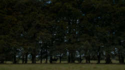 extant_GameOfThrones_4x05-FirstOfHisName_2750
