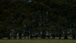 extant_GameOfThrones_4x05-FirstOfHisName_2752