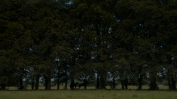 extant_GameOfThrones_4x05-FirstOfHisName_2753