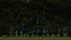 extant_GameOfThrones_4x05-FirstOfHisName_2756