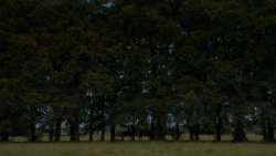 extant_GameOfThrones_4x05-FirstOfHisName_2758