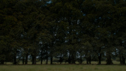 extant_GameOfThrones_4x05-FirstOfHisName_2759