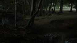 extant_GameOfThrones_4x05-FirstOfHisName_3573