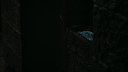extant_GameOfThrones_4x06-TheLawsOfGodsAndMen_1070