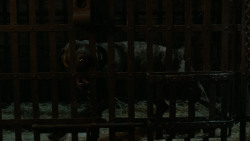 extant_GameOfThrones_4x06-TheLawsOfGodsAndMen_1373